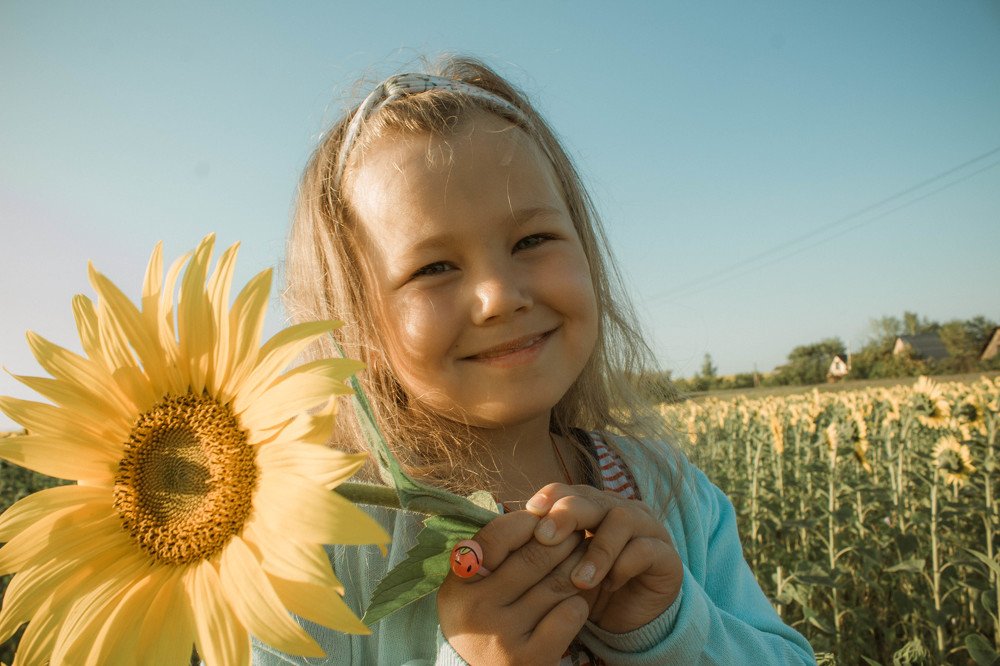 в подсолнухах