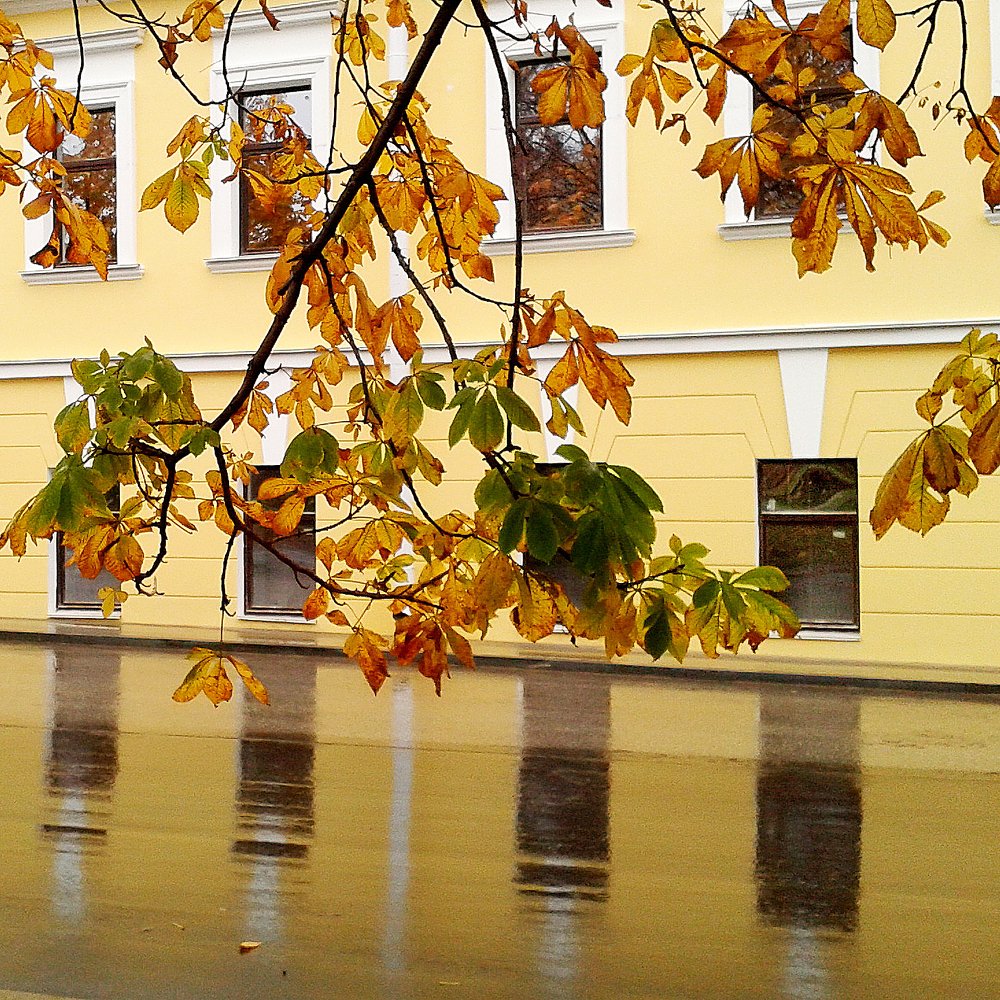 Photo #3432072