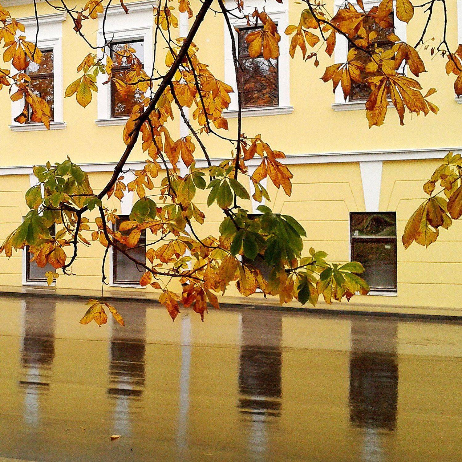 Photo #3432072
