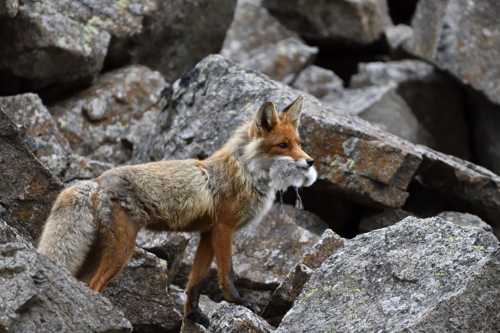 Photograph by Алекс Ежов