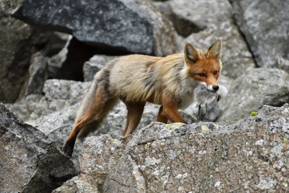 Photograph by Алекс Ежов