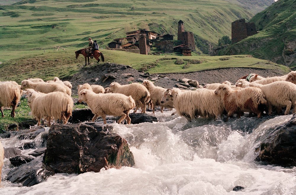 Пастухи из Хевсурети. Перегон стада на новые пастбища
