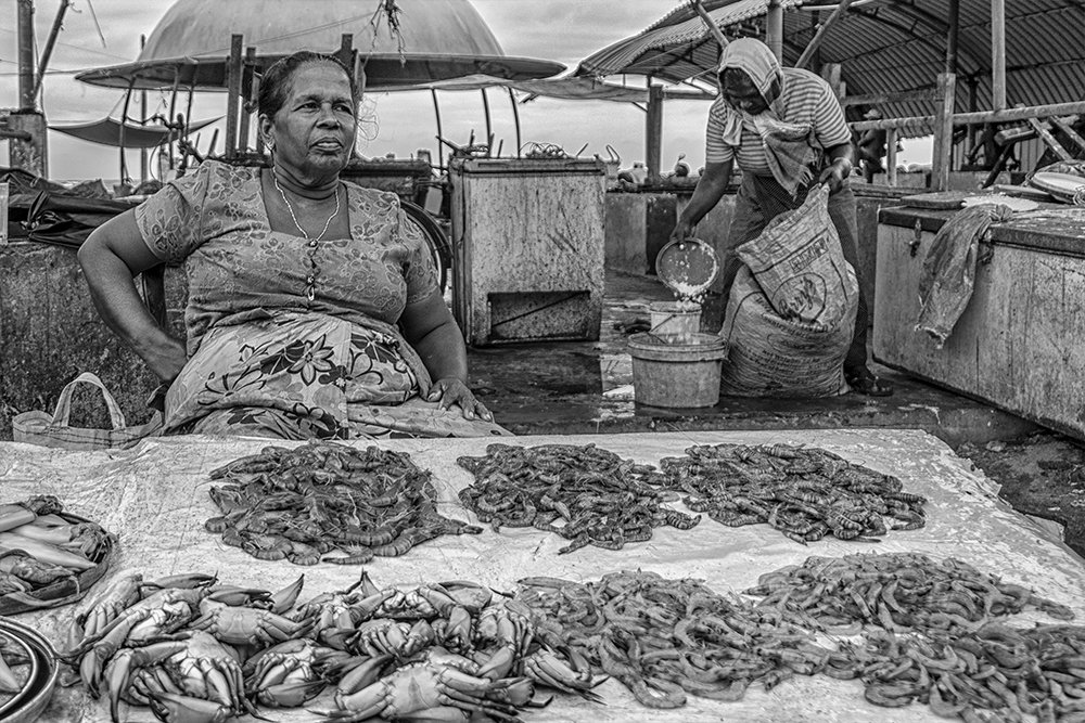 Fish Seller