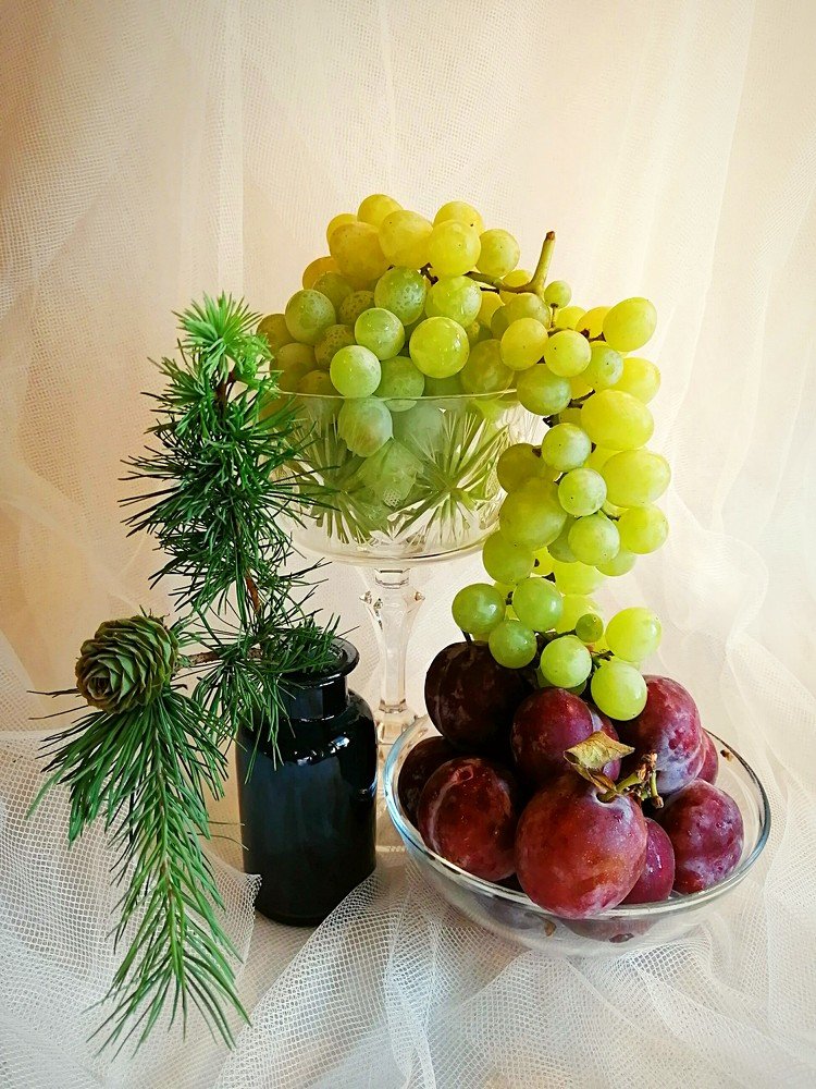 Сливово-виноградный натюрморт