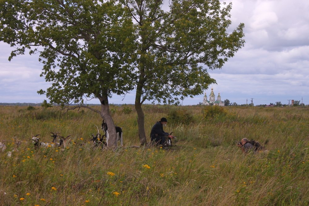 Девяностолетний пастух.