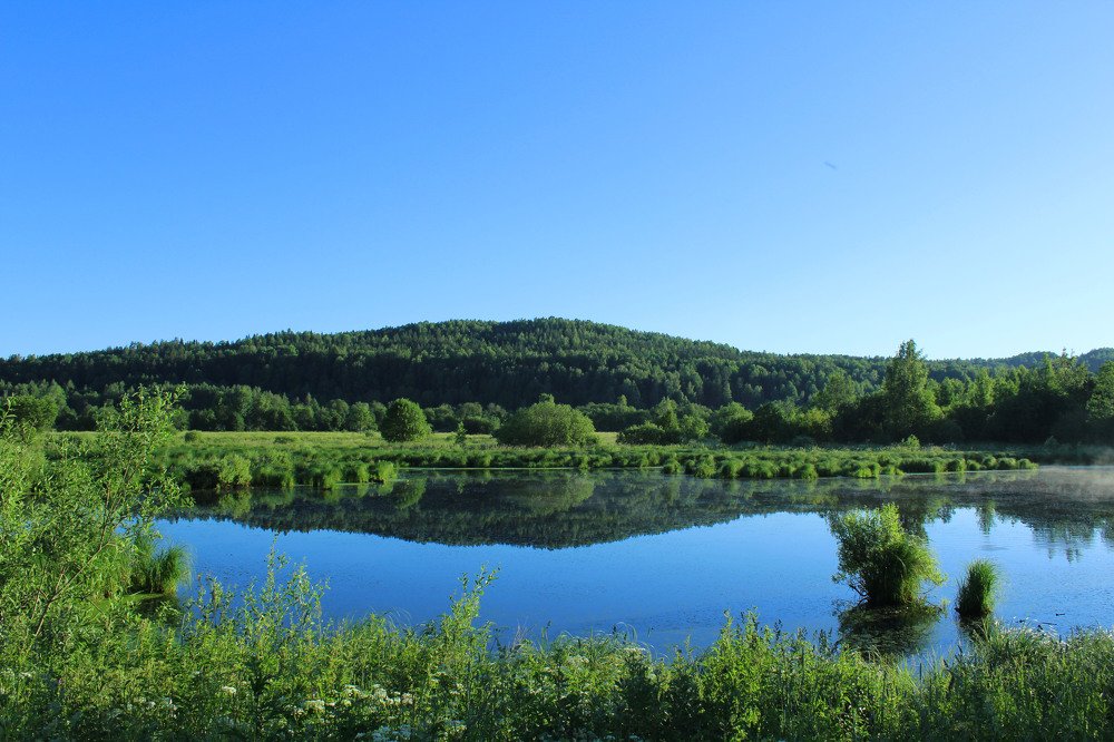 четыре утра