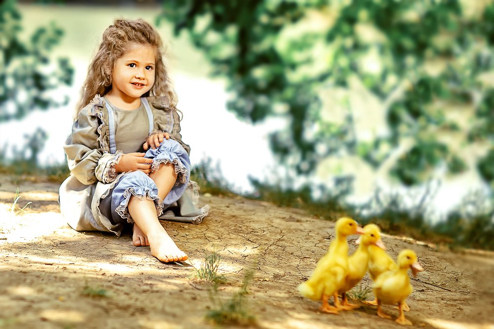 утиные истории