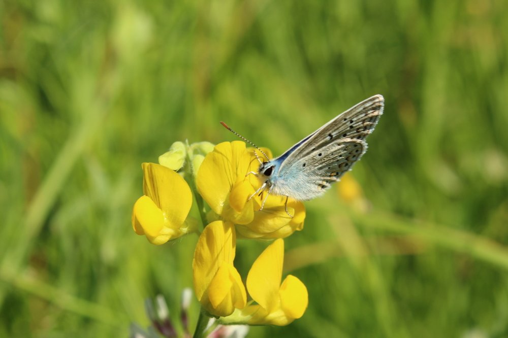 Посмотри на меня