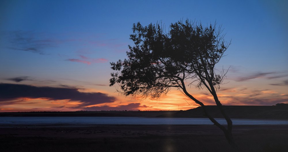 silence is all we have