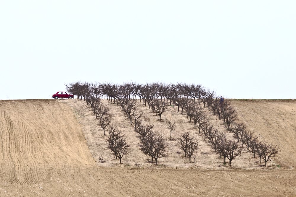 Close encounter of the first kind