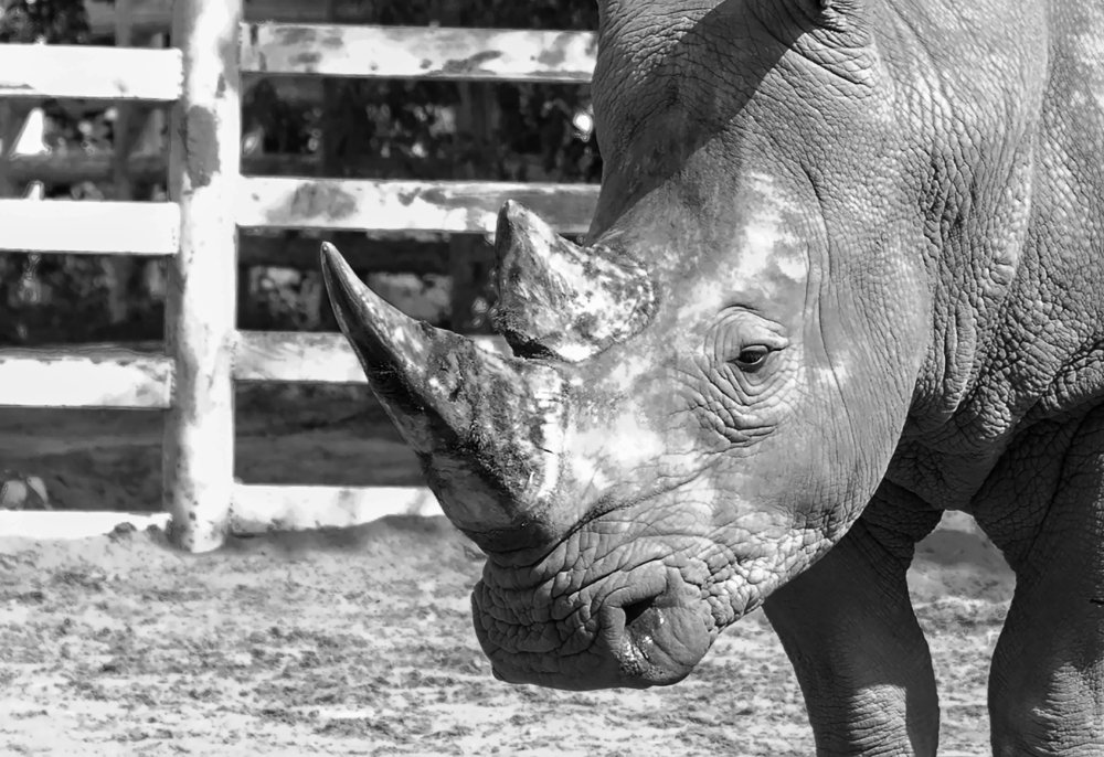 Photograph by Олег