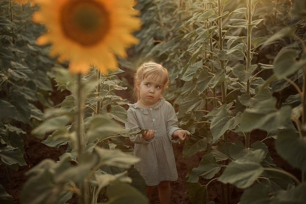Сашенька и подсолнух