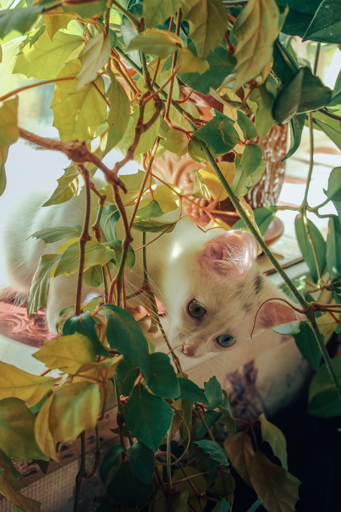 Photograph by Ольга Савостина