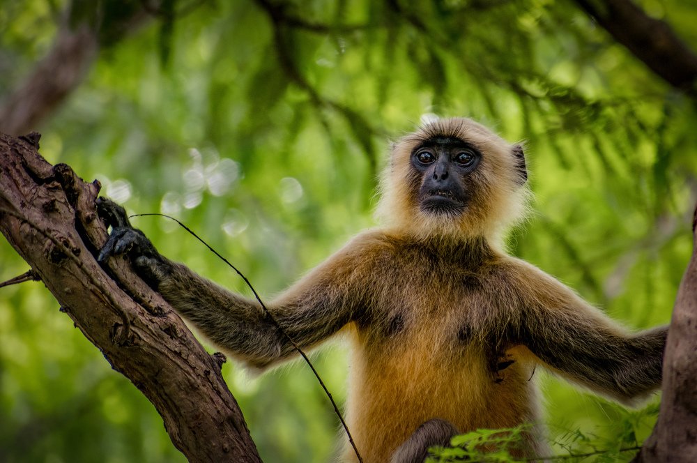 LRM_EXPORT_87472728690797_20190726_200344217