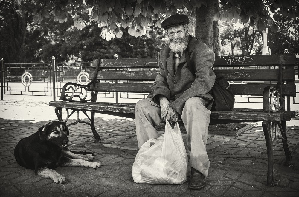 Обитатели Керченских улиц.