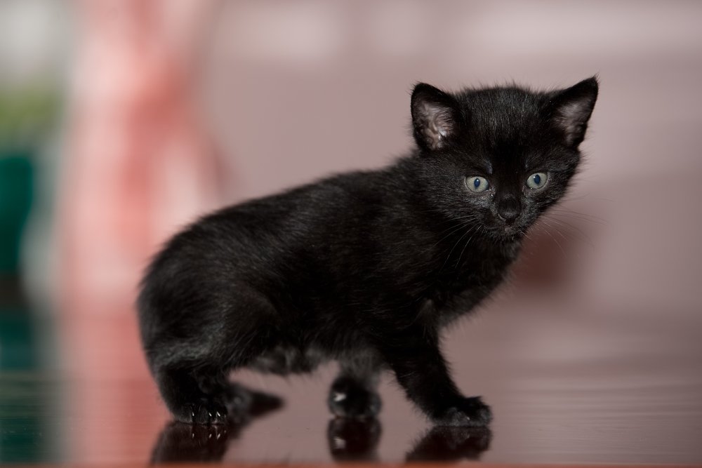 Photograph by slavka