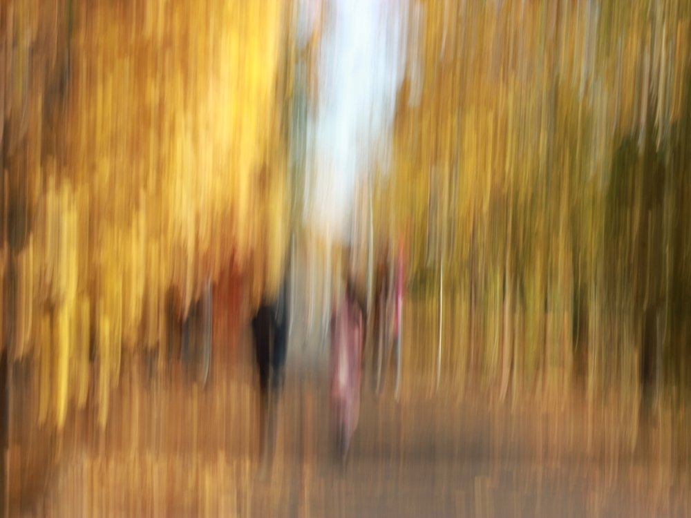 Рандеву с волшебным миром золотой любви ...” (“Rendezvous with the magic world of golden love”).
