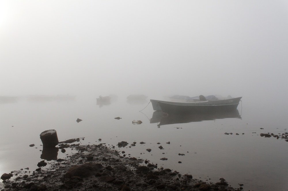 Photograph by Eduardo Palma