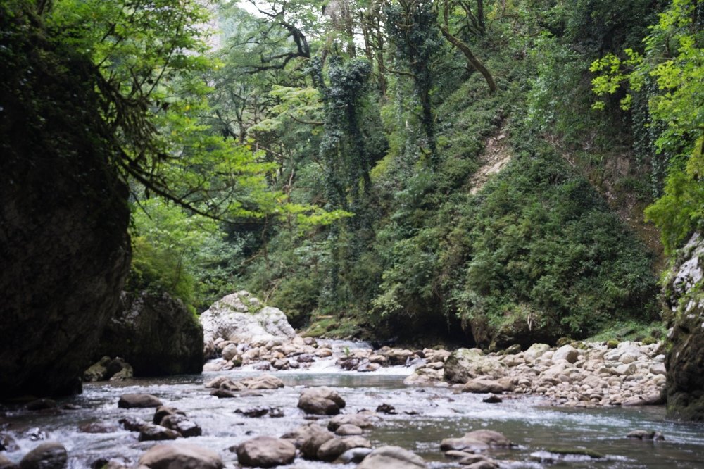 Горная река