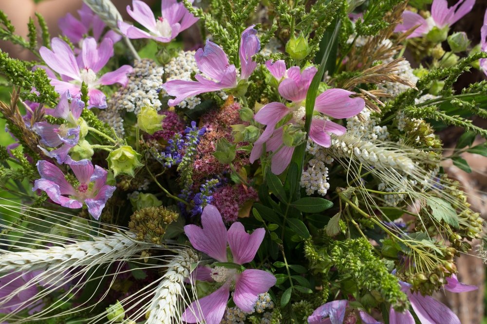 Прогулка влюбленных