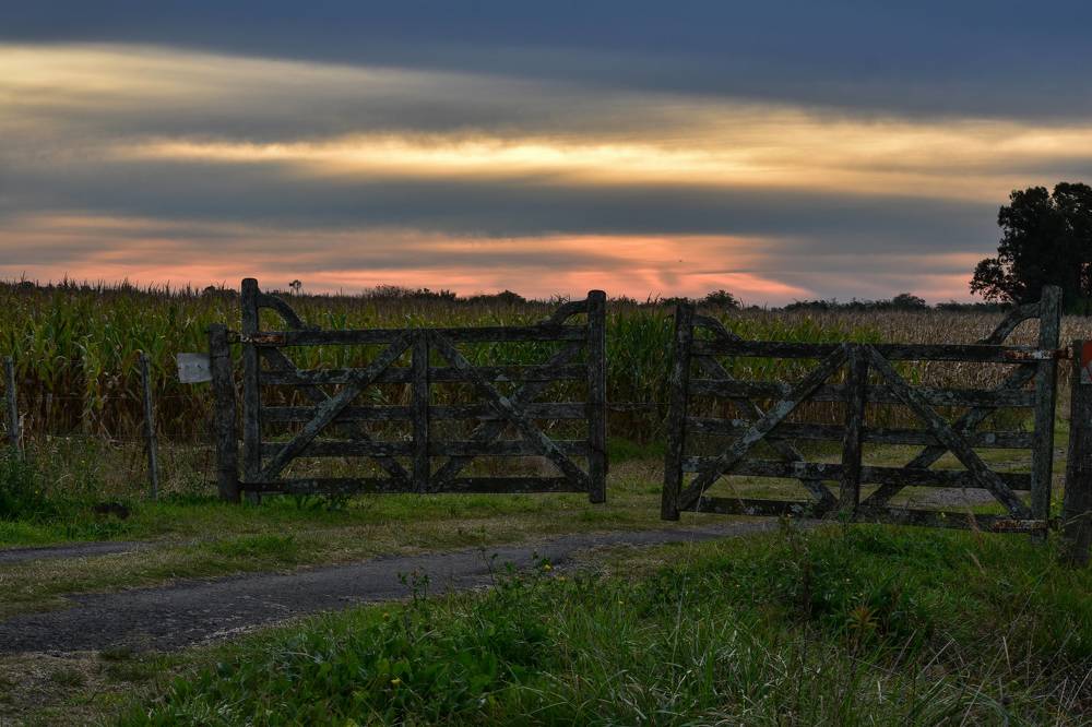 Sunset in the gate