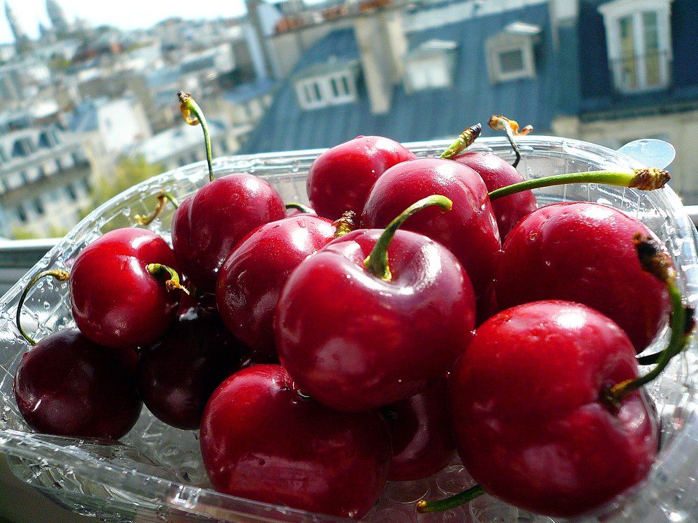 Paris, Spring, Cherry