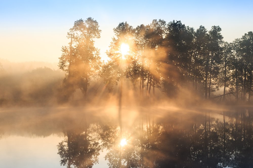 Первые лучи