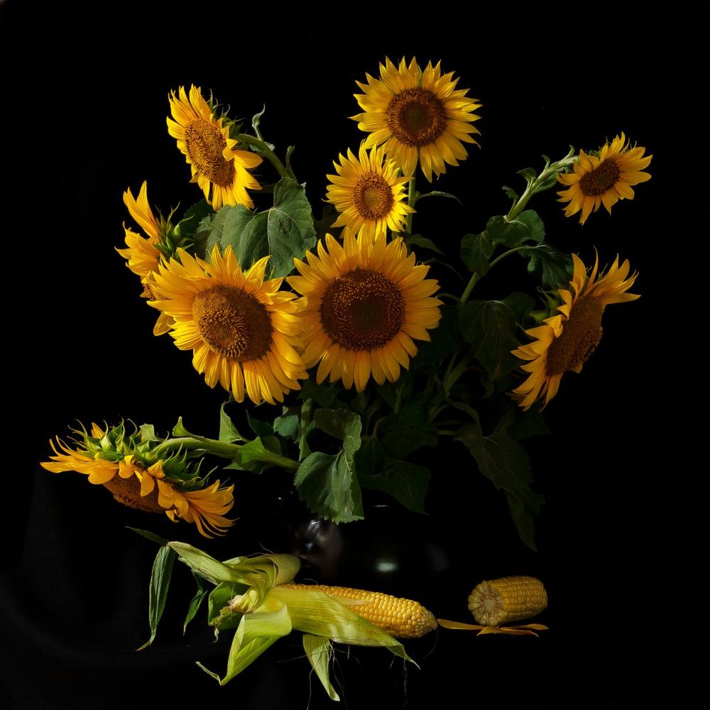 Подсолнухи