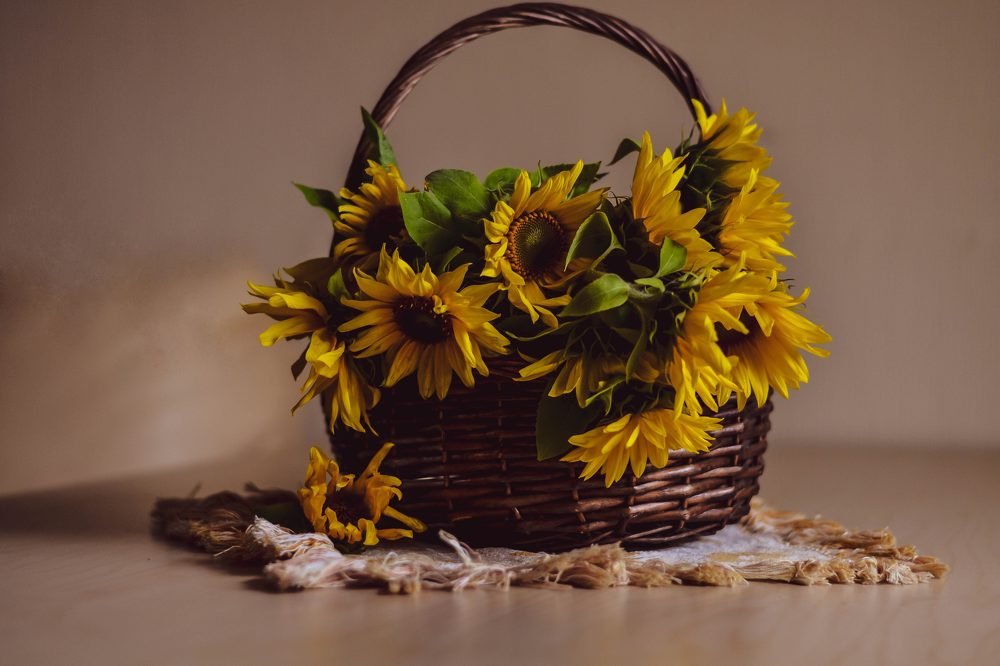 Photograph by Елена Боржковская