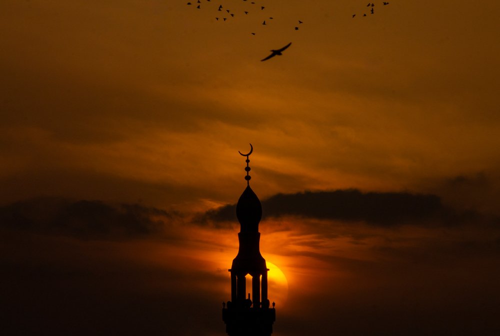 Фотография автора Ebrahim Rahiminezhad