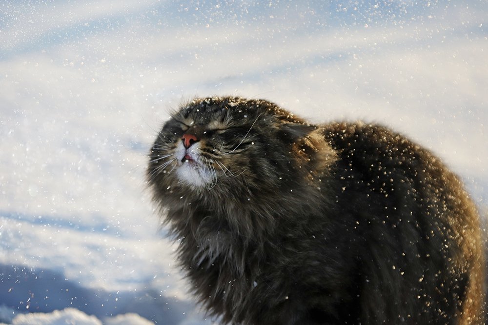 Photograph by Аркадова Елена