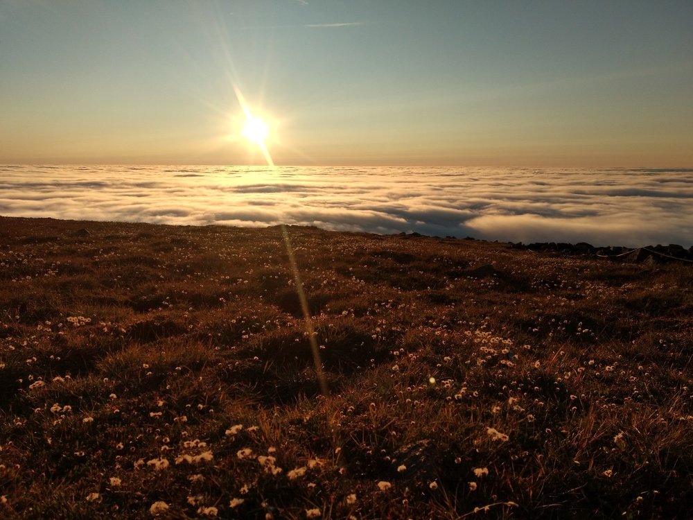 Выше облаков