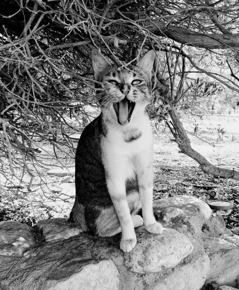 Photograph by Inga Vasilyeva