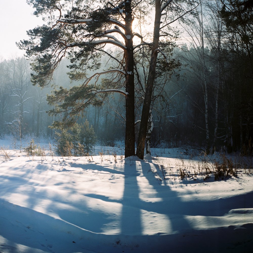 Photograph by Никита Татауров