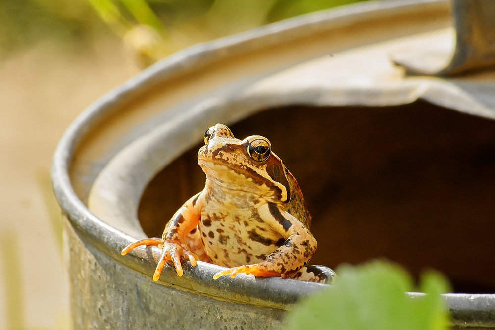 Фотография автора Игорь Иванов