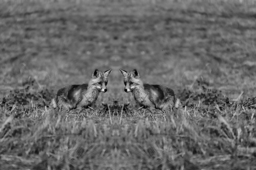 Photograph by Gaļina