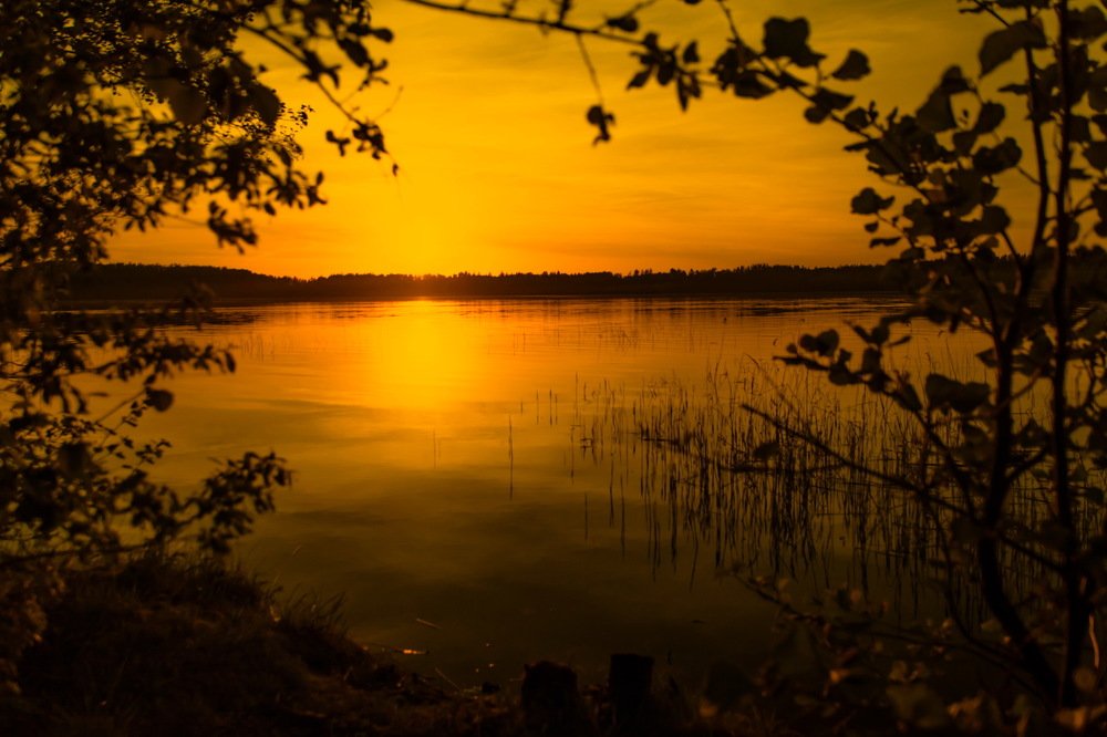 Photograph by Gaļina