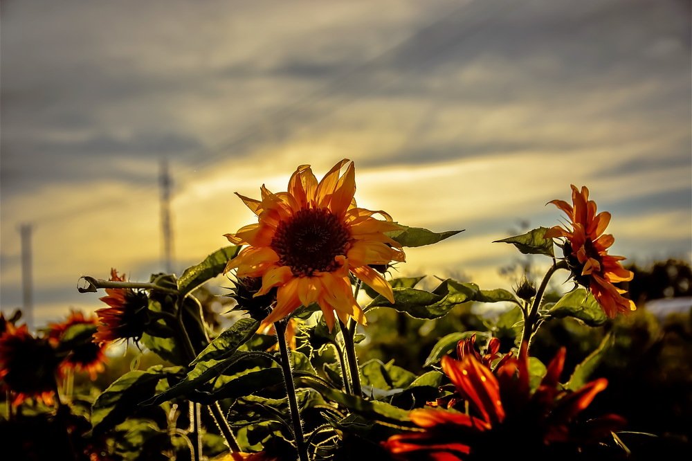 Photograph by Gaļina