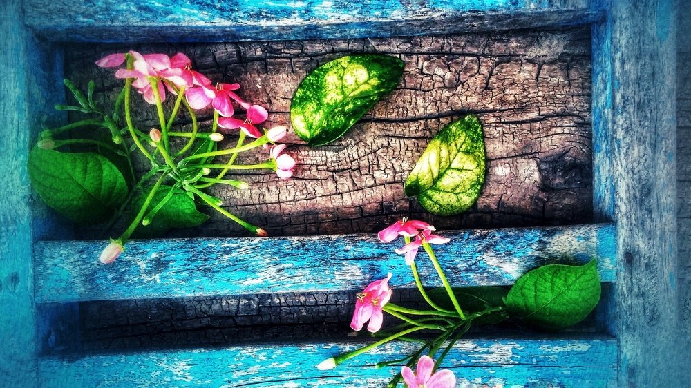 Photograph by Candy_photofactory