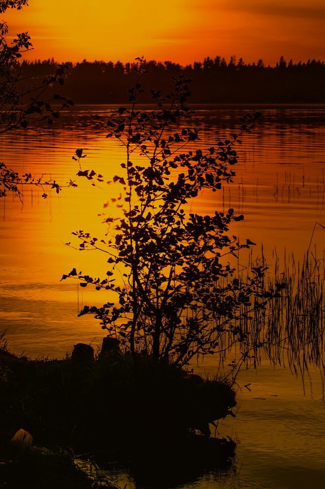 Photograph by Gaļina