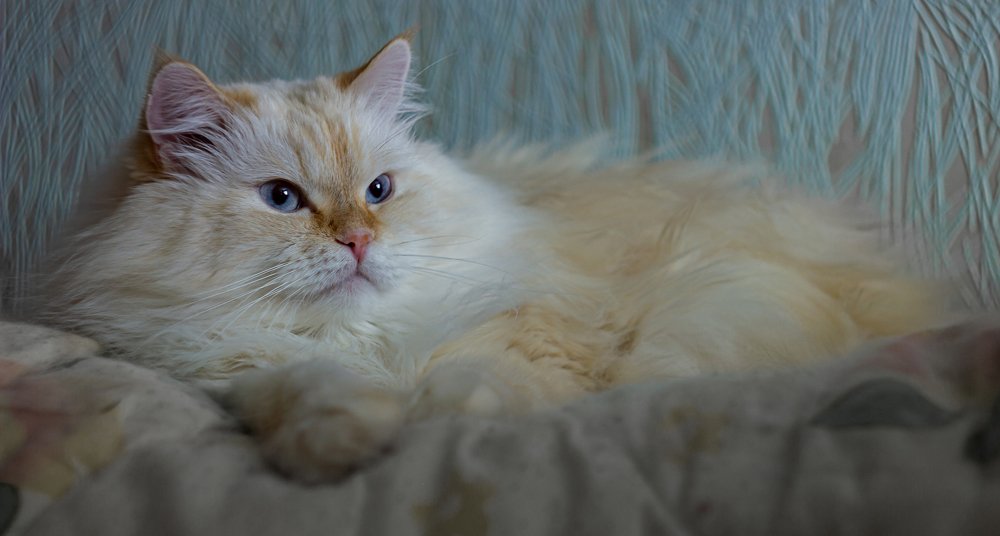 А кто это там?