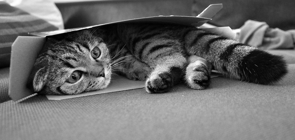 Бандеролька