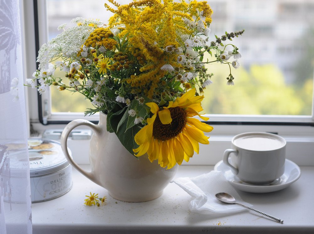 Натюрморт на окне