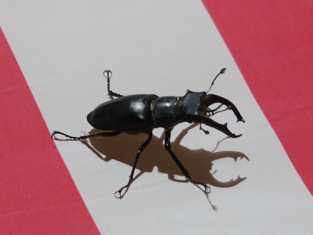 Photograph by Elena Nadeeva