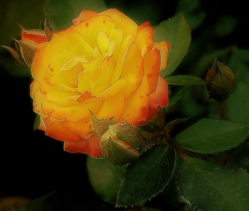 Photograph by Алия Байсыкова