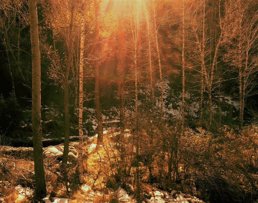 Photograph by Алия Байсыкова