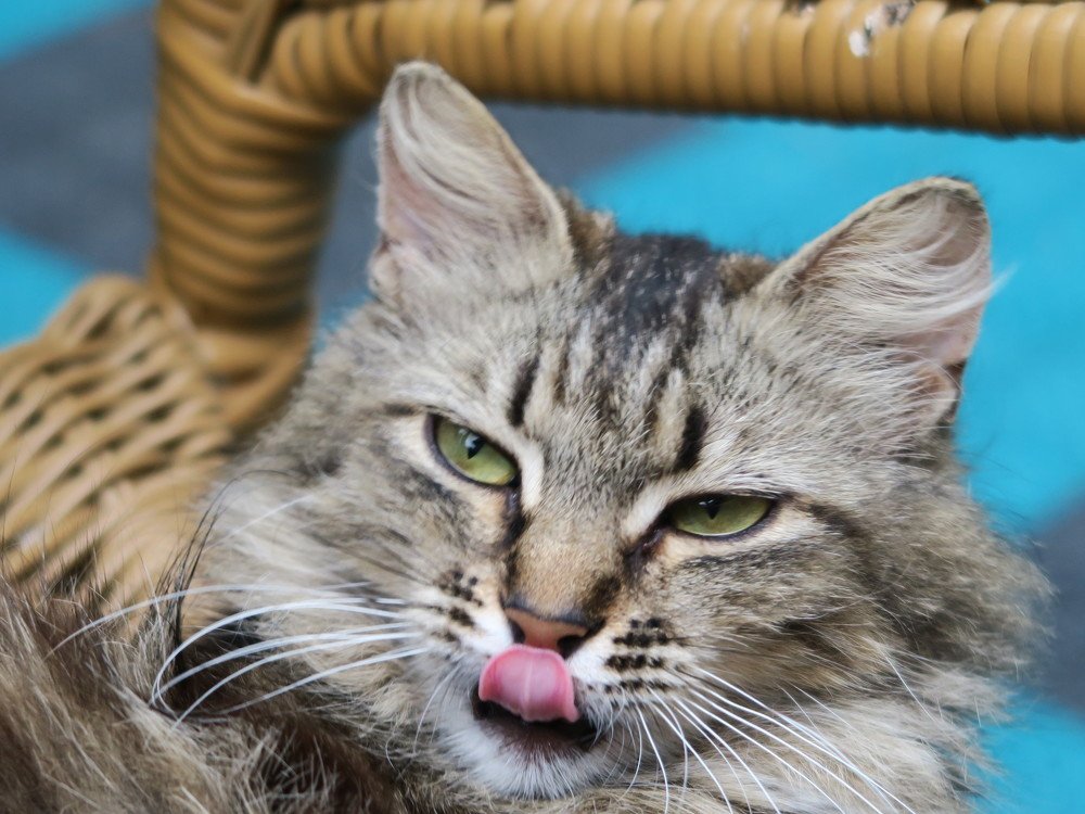 Photograph by Elena Nadeeva