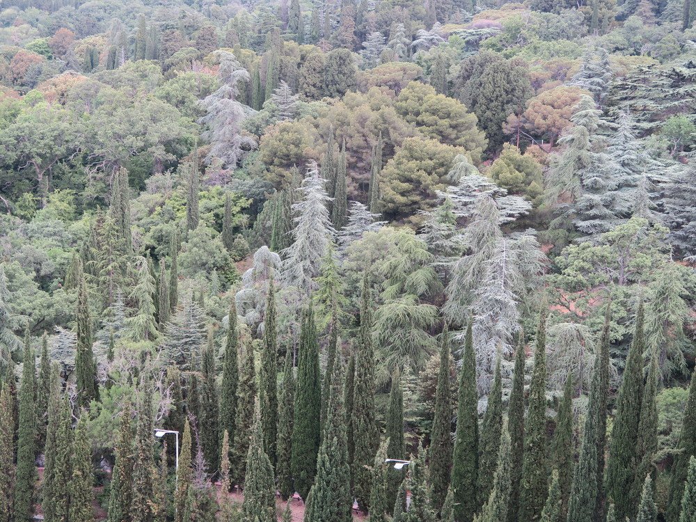 Photograph by Elena Nadeeva