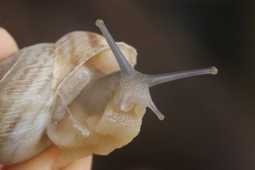 Come out come out wherever you are..