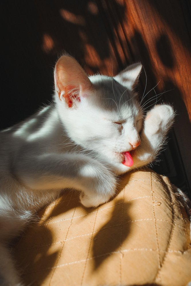 Photograph by Ольга Савостина